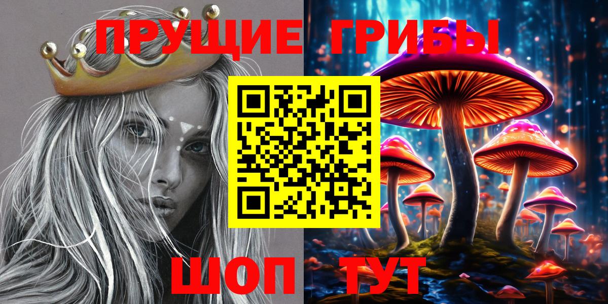 Мичуринск  Псилоцибиновые грибы Psilocybe  Псилоцибиновые грибы мухоморы  Вход с VPN 