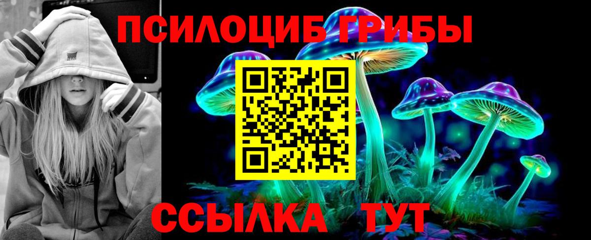 Галлюциногенные грибы прущие грибы Мичуринск